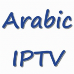 Arabic TV Subscription